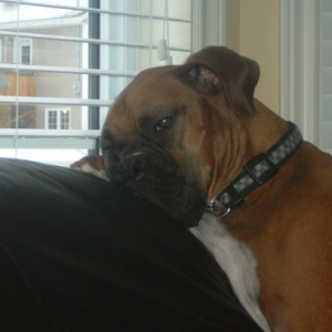 Squishy Face