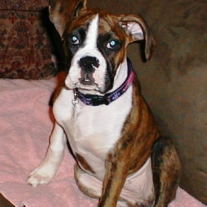 Abbey_16wks03