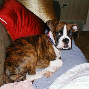 Abbey_16wks06