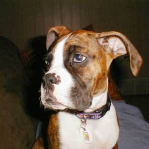 Abbey_16wks15