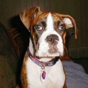 Abbey_16wks16