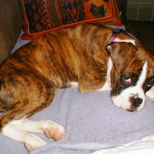 Abbey_16wks19