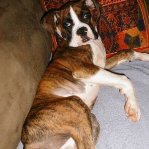 Abbey_16wks20