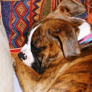 Abbey_16wks28
