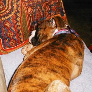 Abbey_16wks221