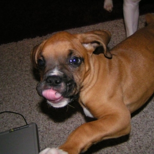 Another one for his new mommy