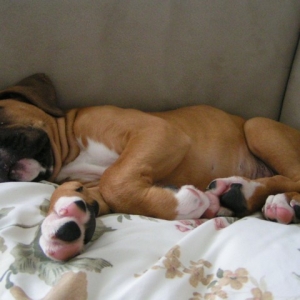 General worn out after playing