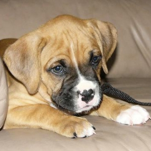 My sad face...