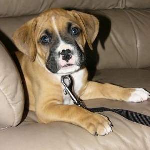 See how cute I can be?