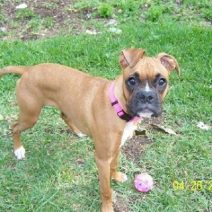 Sophie and her ball