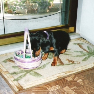 Are those BOILED EGGS in there???!!!  YUMMY!!!