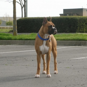Tre @ 15 months old