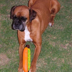 Sugar on her 10th Birthday