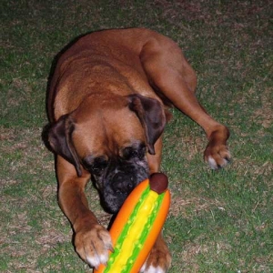 Sugar on her 10th Birthday