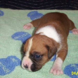 new baby