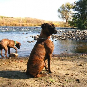 Father and son at the river
