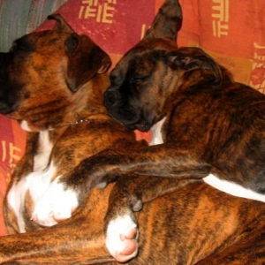 the kids