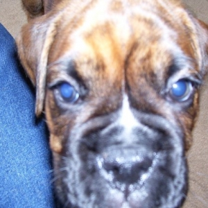 look