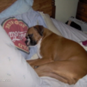 sleepy_sadie