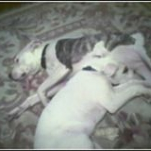 Naptime