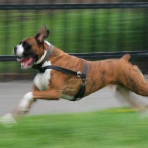 Speeding