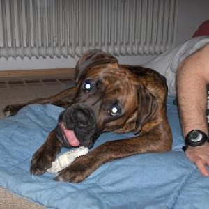 Bradlee's German boyfriend Kaiser