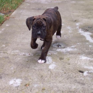 First Day Home 05-06-06