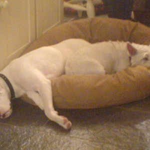 rest time with my play partner