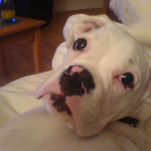 what are you looking at