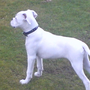posing....im so vein