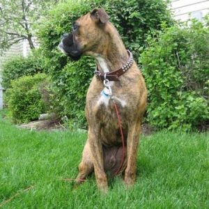 Ozzie posing
