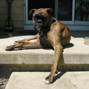 Sun tanning