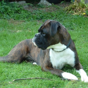 In the garden.