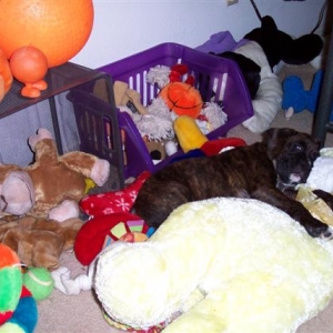 Where is Syd?
