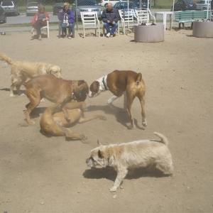 Bash0507061