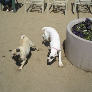 Bash0507063