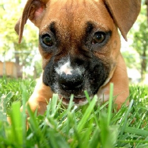 Down and dirty with Maggie