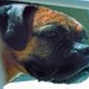 I'm ready for my close-up...