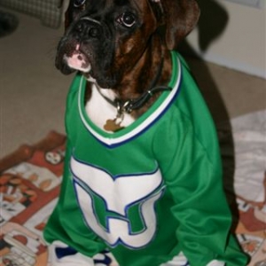 "Well, Mom KNOWS I'm a Leafs fan"!