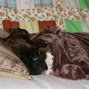 Resting after a hard day's work....