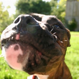 "What makes you think there is something in my mouth?