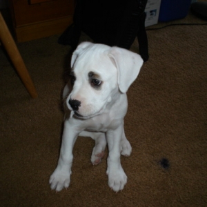 Hanging out 7 weeks