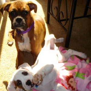 ahhhhhhhh man Your disturbing my rest time....