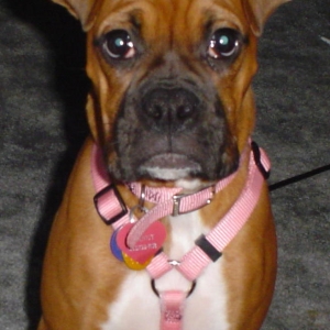 I can get away with anything....