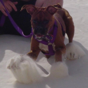 ahhhhh I can't stop!!!