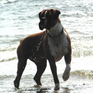 Eliot (10 months old) on holiday in Cornwall