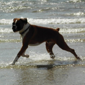 Eliot (10 months old) on holiday in Cornwall