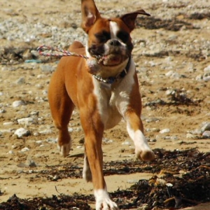 Eliot (10 months old) on holiday in Cornwall