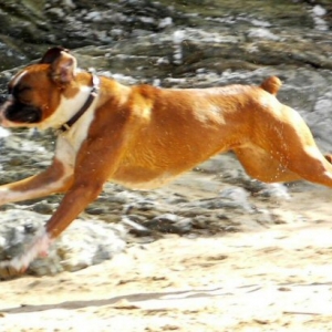 Eliot (10 months old) on holiday in Cornwall
