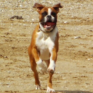 Eliot (10 months old) on holiday in Cornwall